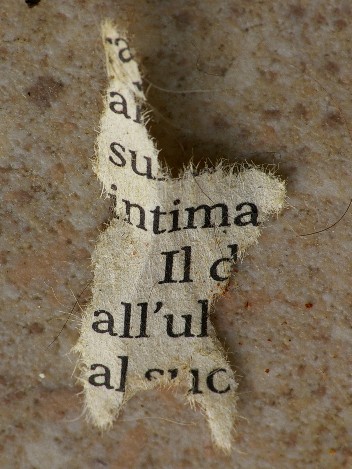 Articoli ed interviste