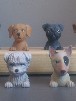 Campionatura cani