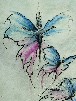 Nell'aria