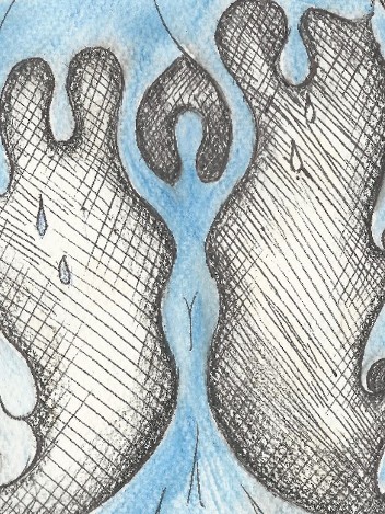 Disegni
