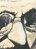 Disegni
