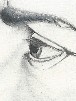 Disegni