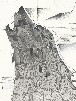 Disegni