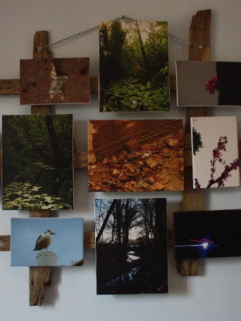 Foto Pallet
