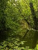 Foto Pallet
