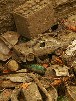 Foto Pallet