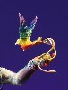 Pan & the Rainbow