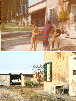 Repertorio Via Gruppo nX