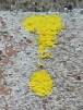 scritte Via Gruppo nX